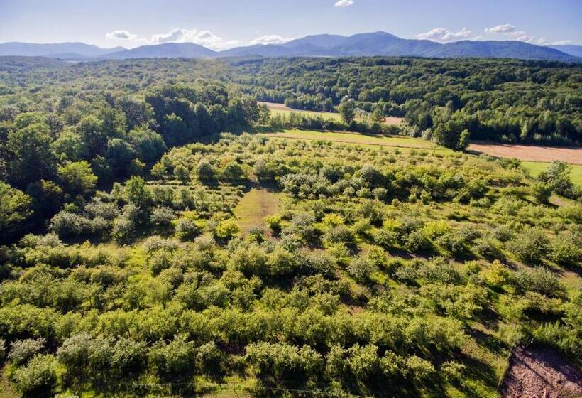 ホテル Hôtel Du Domaine Saint Loup