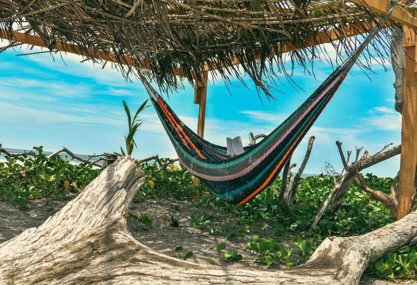 فندق Miravalleecosurf