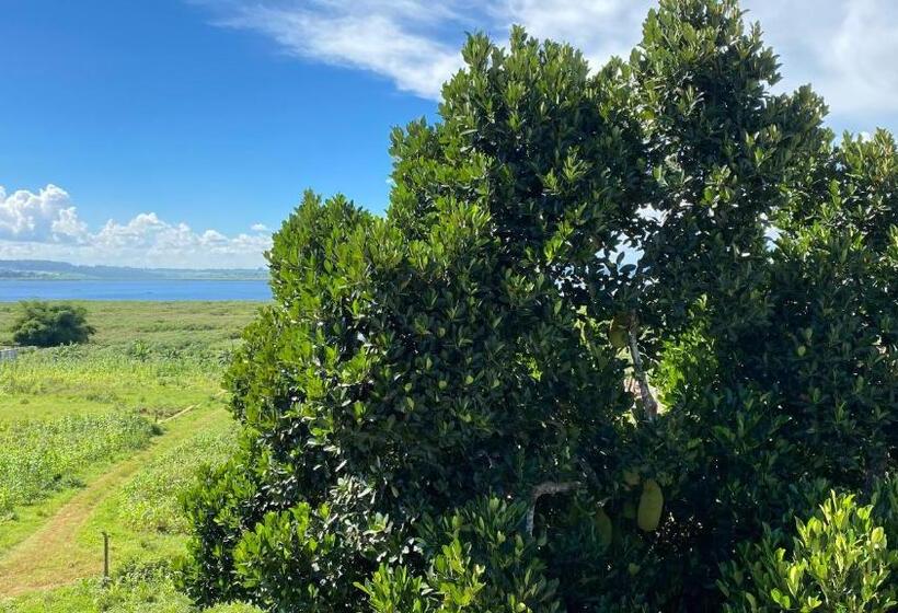 هتل Nimaro Courts