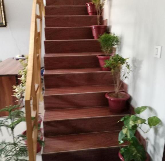 Отель Orchid Blue