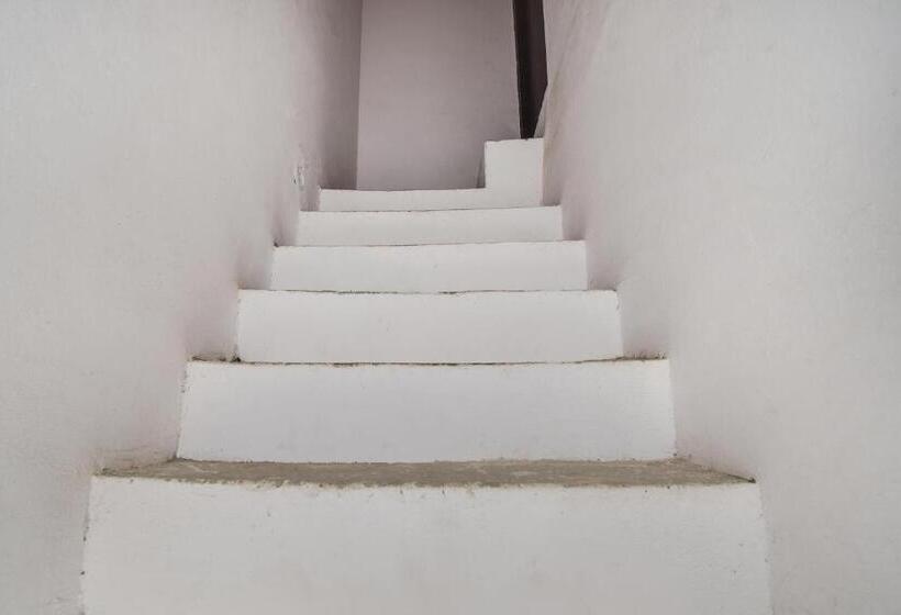 호텔 Oyo Dev Guest House