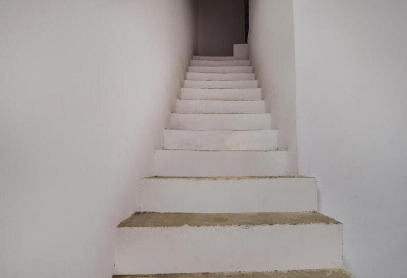 호텔 Oyo Dev Guest House