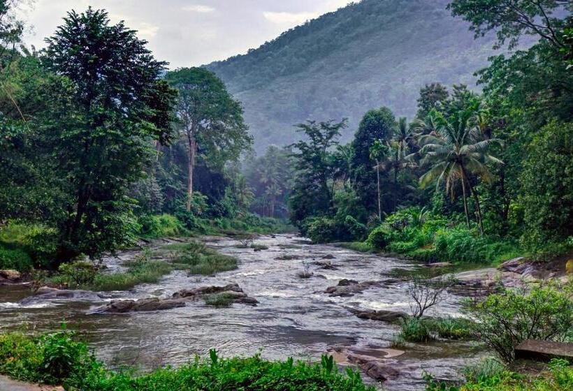 Отель Oyo Green Valley Home Stay