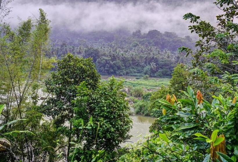 Отель Oyo Green Valley Home Stay