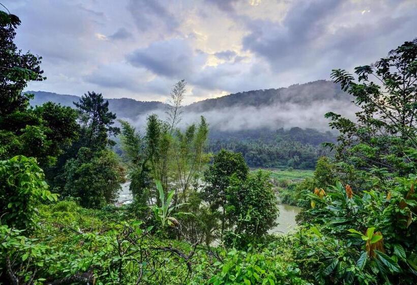 Отель Oyo Green Valley Home Stay