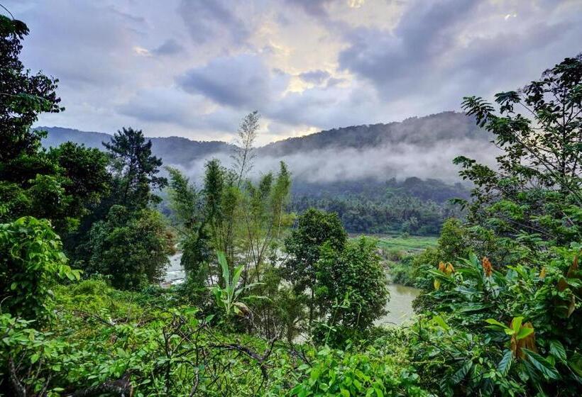 호텔 Oyo Green Valley Home Stay