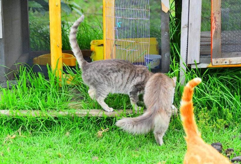 酒店 Rancho Tierra Firma San Miguel De Bolivar