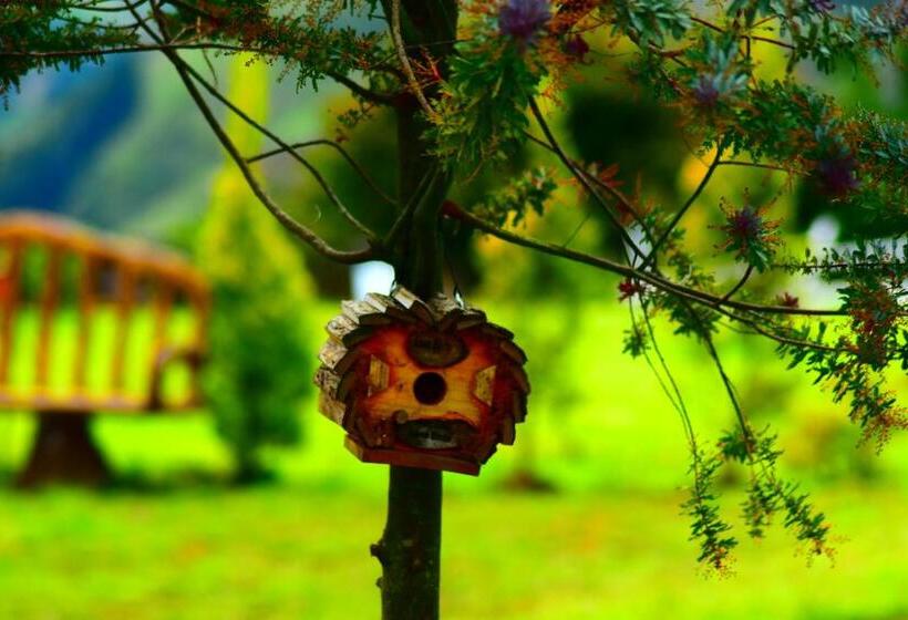 酒店 Rancho Tierra Firma San Miguel De Bolivar