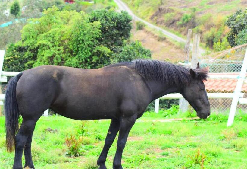 酒店 Rancho Tierra Firma San Miguel De Bolivar