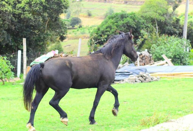 酒店 Rancho Tierra Firma San Miguel De Bolivar