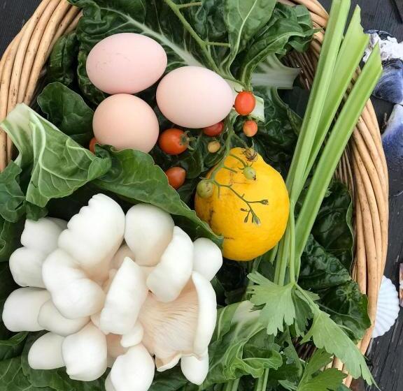 בית מלון כפרי Sapphire Cottage Farm Escape