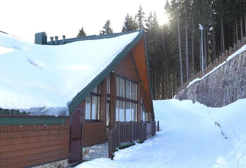 هتل Shale Anemona