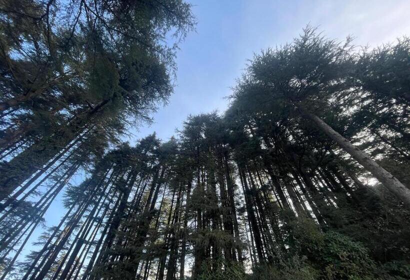 ホテル The Deodar Stays