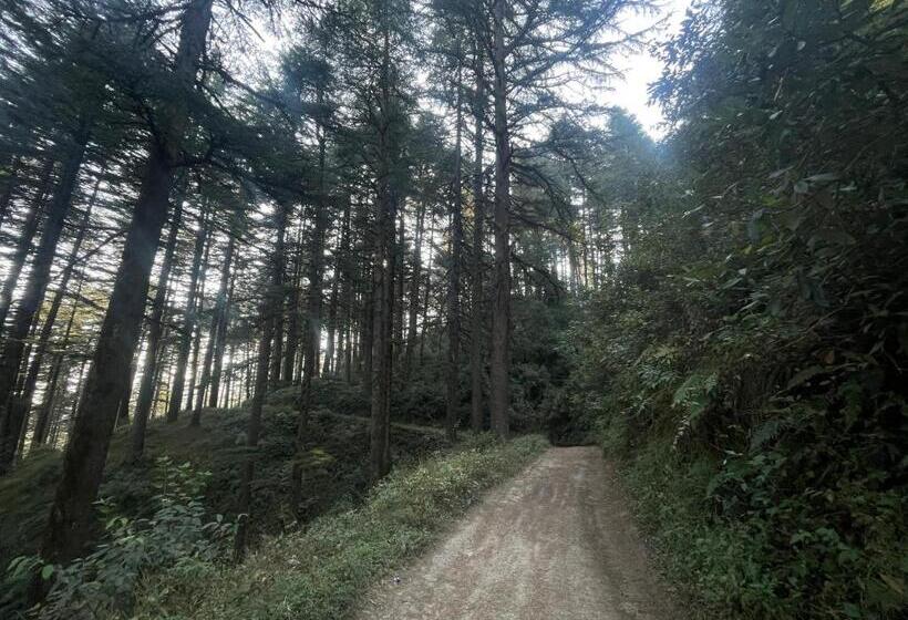 ホテル The Deodar Stays