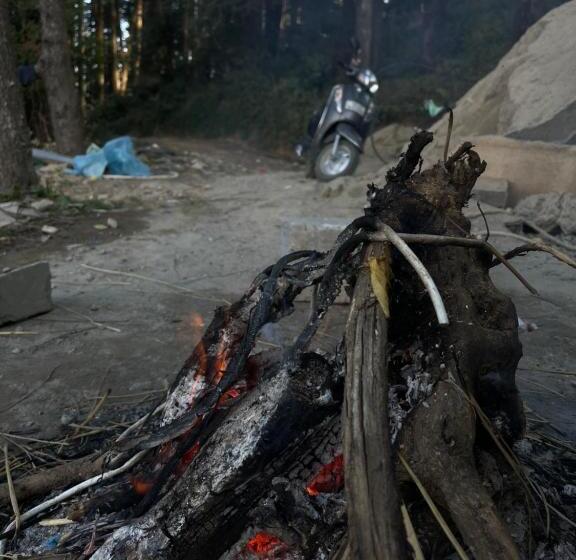 ホテル The Deodar Stays