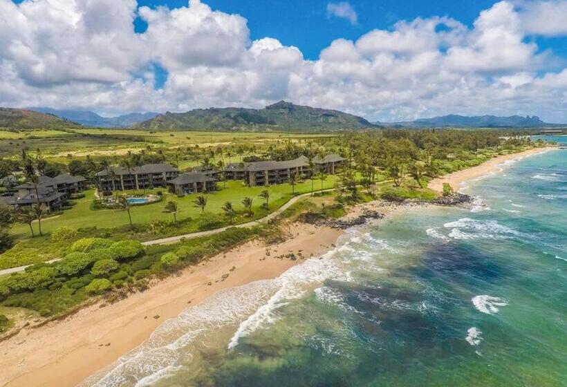Kaha Lani 304