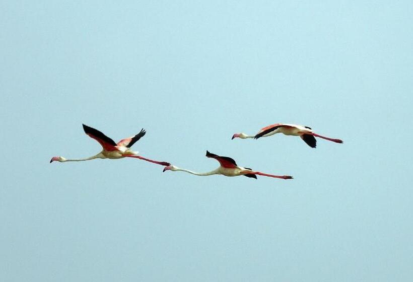 Ko Lanta Amantra Lake View Resort