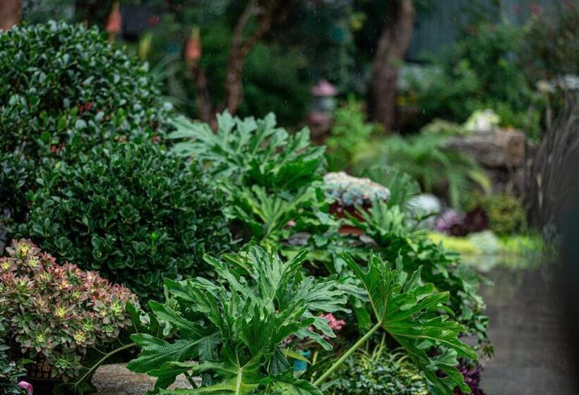 Lijiang Heting Nakhi Boutique Hotel   Lijiang Ancient Town