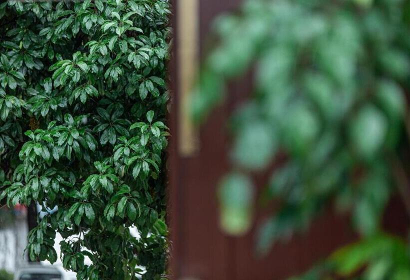 Lijiang Heting Nakhi Boutique Hotel   Lijiang Ancient Town