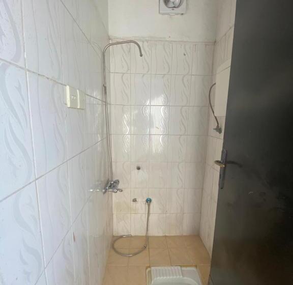 פנסיון رتز السويدي