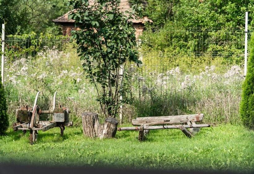 פנסיון Petershaus   Casa De Vacanța și Distractie