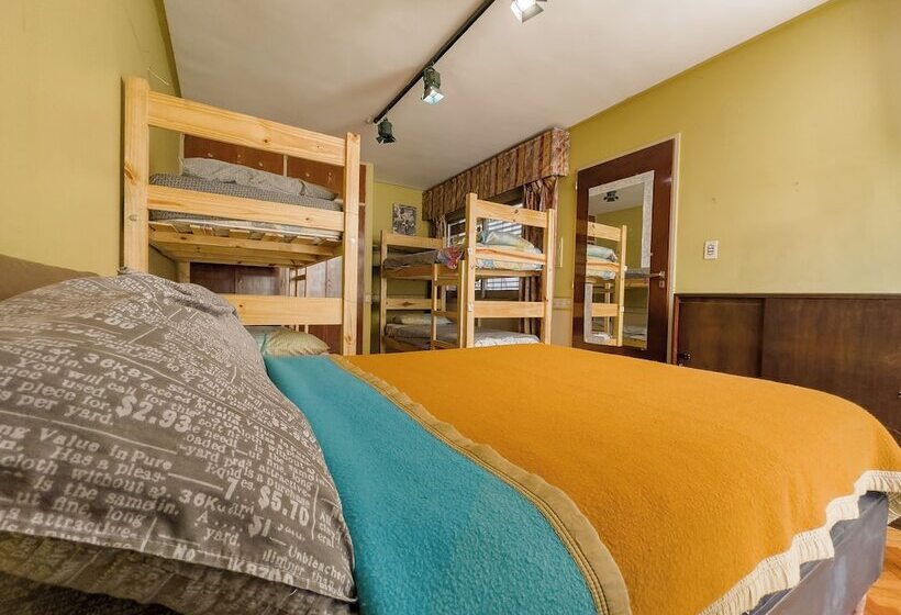 ペンション Rodex Hostel Tucuman