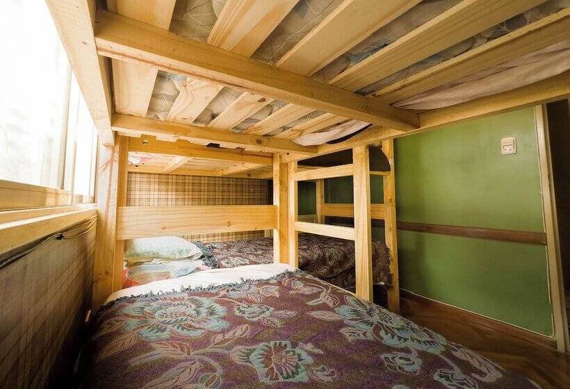 ペンション Rodex Hostel Tucuman