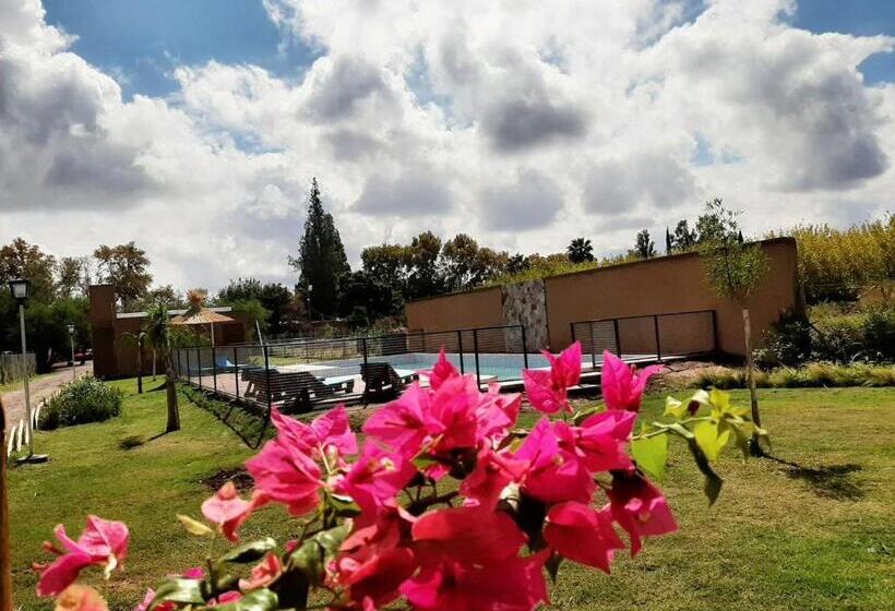 Пансион Rosa Oliva Dormitorios