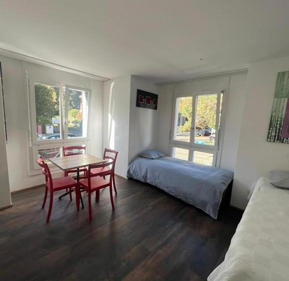 Общежитие Basel Stadt Gundeldingen Zimmer 404