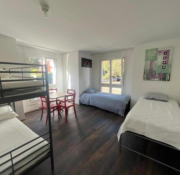 Общежитие Basel Stadt Gundeldingen Zimmer 404