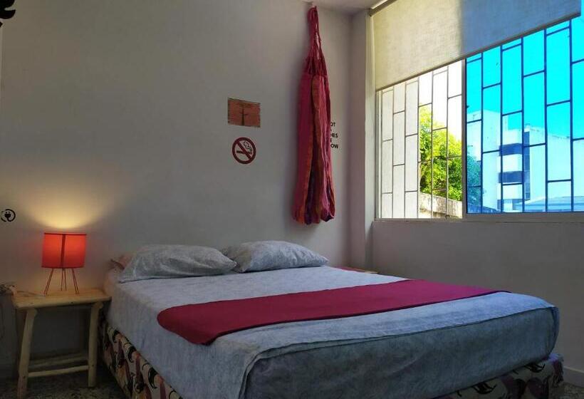 הוסטל Casa Almendros