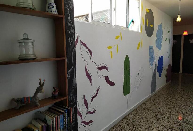 הוסטל Casa Almendros