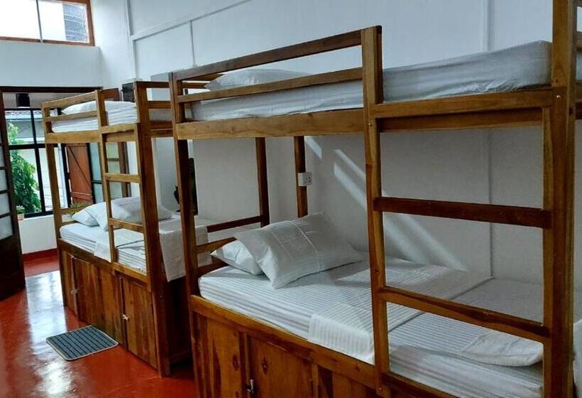 Общежитие Ceylon Stayz