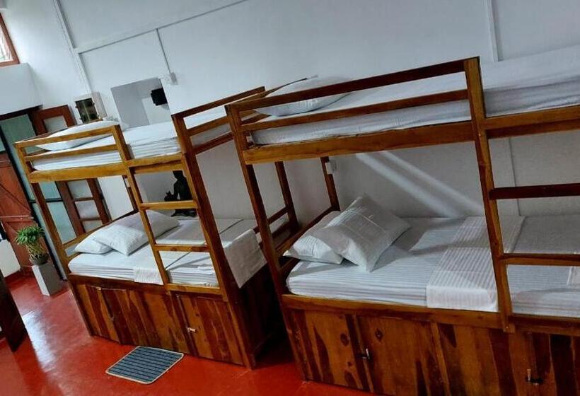 Общежитие Ceylon Stayz