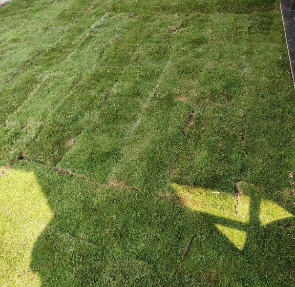 הוסטל Forest Breeze Inn