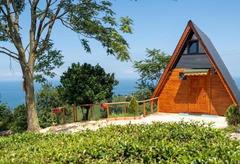 ベッドアンドブレックファースト Aytepe Bungalov