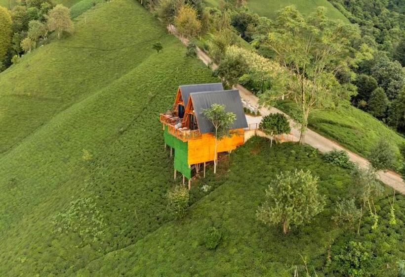 ベッドアンドブレックファースト Aytepe Bungalov