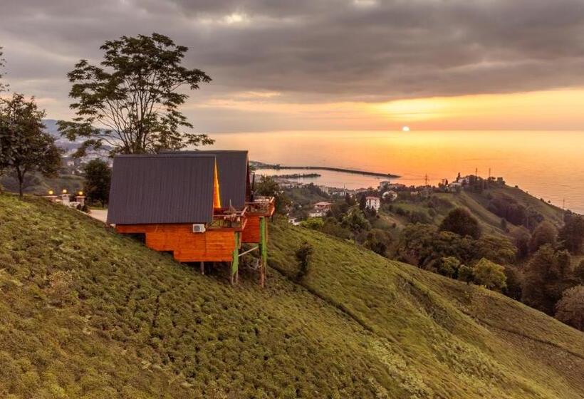 ベッドアンドブレックファースト Aytepe Bungalov