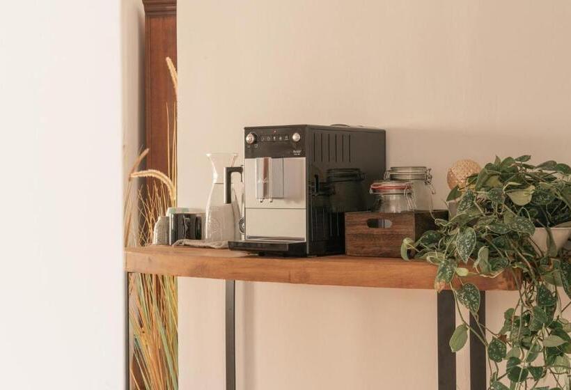 تختخواب و صبحانه Coliving & Coworking Costa Blanca