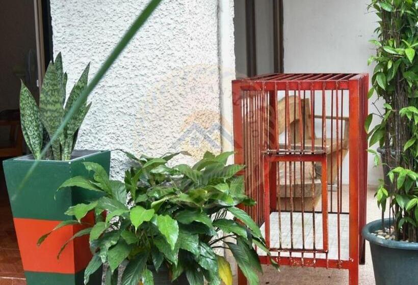 تختخواب و صبحانه Marina House  Owner S Cabin