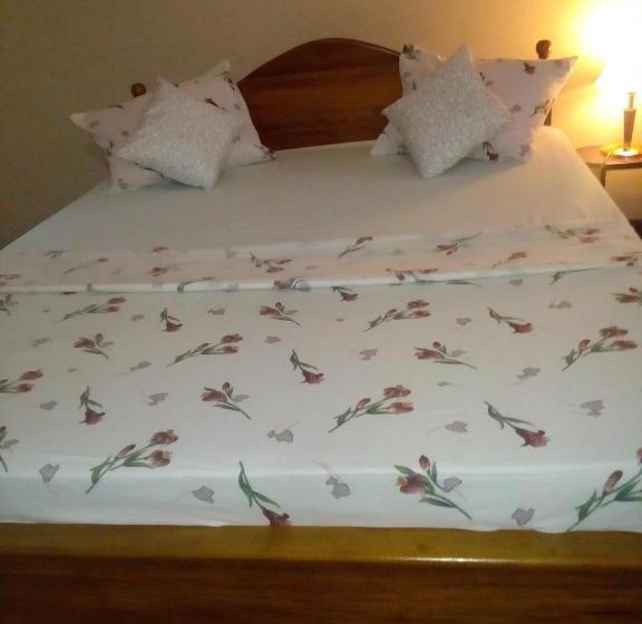 Bed and Breakfast Mimosha Holiday Inn