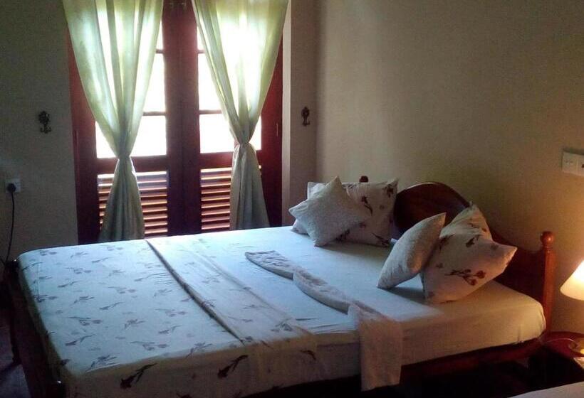 Bed and Breakfast Mimosha Holiday Inn