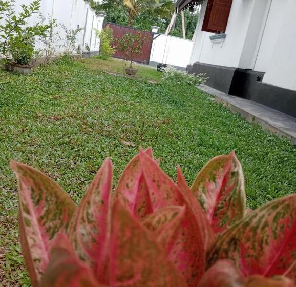 Bed and Breakfast Ranagiri Relaxing Bungalow