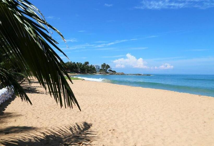 Bed and Breakfast Ranagiri Relaxing Bungalow