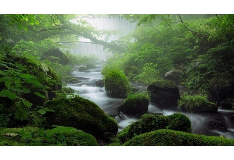 Отель Asanoya Vacation Stay 01714v