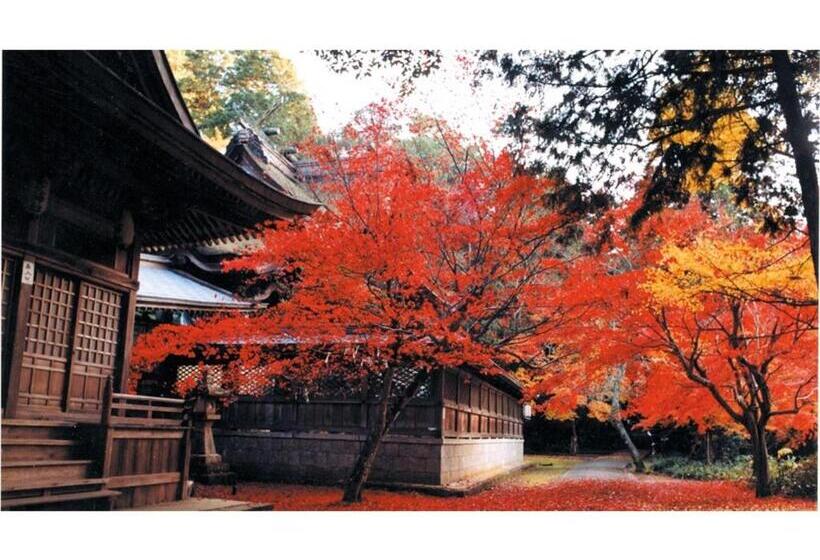 Отель Asanoya Vacation Stay 01714v