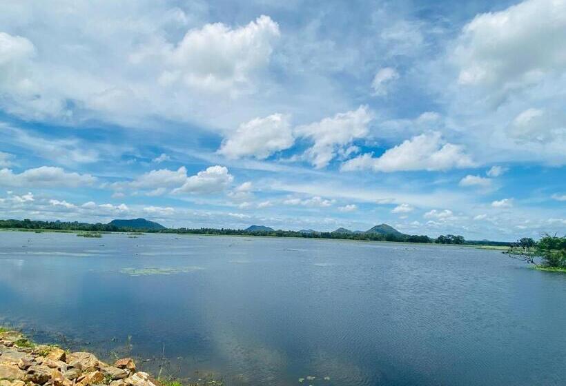 호텔 Black Panther Yala