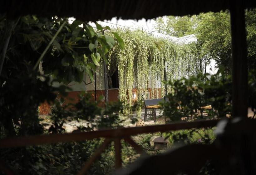 هتل Bình An Village