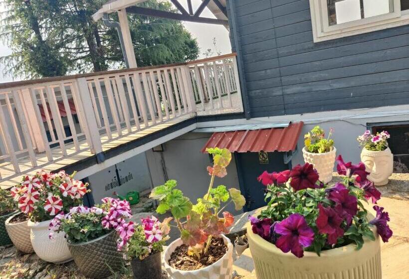 ホテル Cabin In The Woods  Luxury Cottages In Mukteshwar