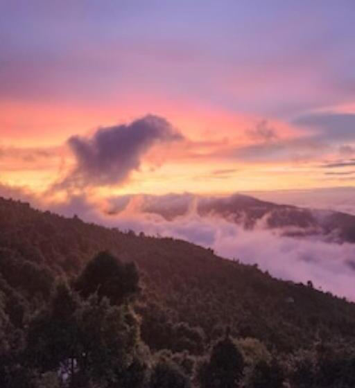 호텔 Cabin In The Woods  Luxury Cottages In Mukteshwar